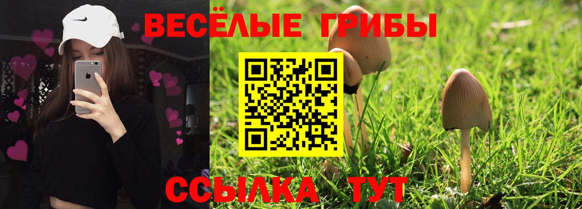Первоуральск  Галлюциногенные грибы Magic Shrooms  Вход с VPN  купить   Галлюциногенные грибы MAGIC MUSHROOMS 